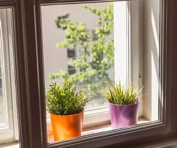 Location Centre In Historic Building With Free Garage Parking 公寓 卢布尔雅那