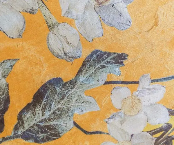 Apartment Location Centre In Historic Building With Free Garage Parking *